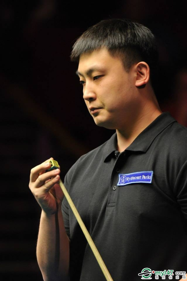 假设申花本 假设申花本